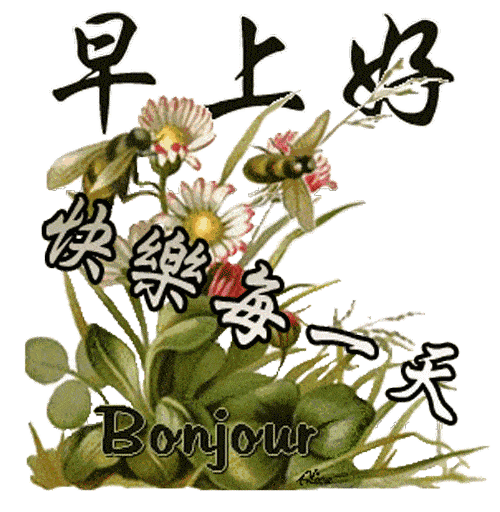 2019新版漂亮早上好问候语动态图片,阳光治愈系暖心的