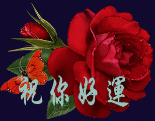 漂亮早上好动态图片加温馨问候语,早上好励志问候语暖