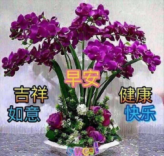 超漂亮的早安鲜花动态祝福图片 清晨早安问候语大全