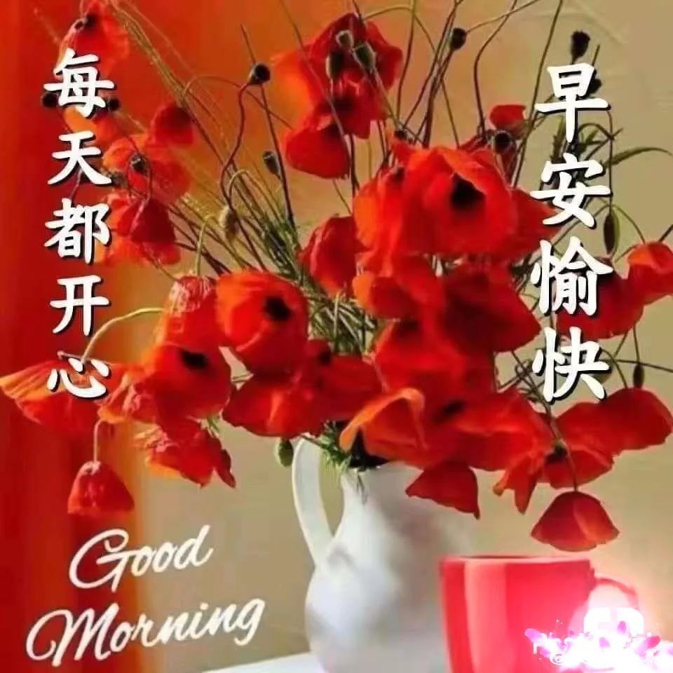 清晨最美问候早上好漂亮图片动画图,微信早上好动态图片表情