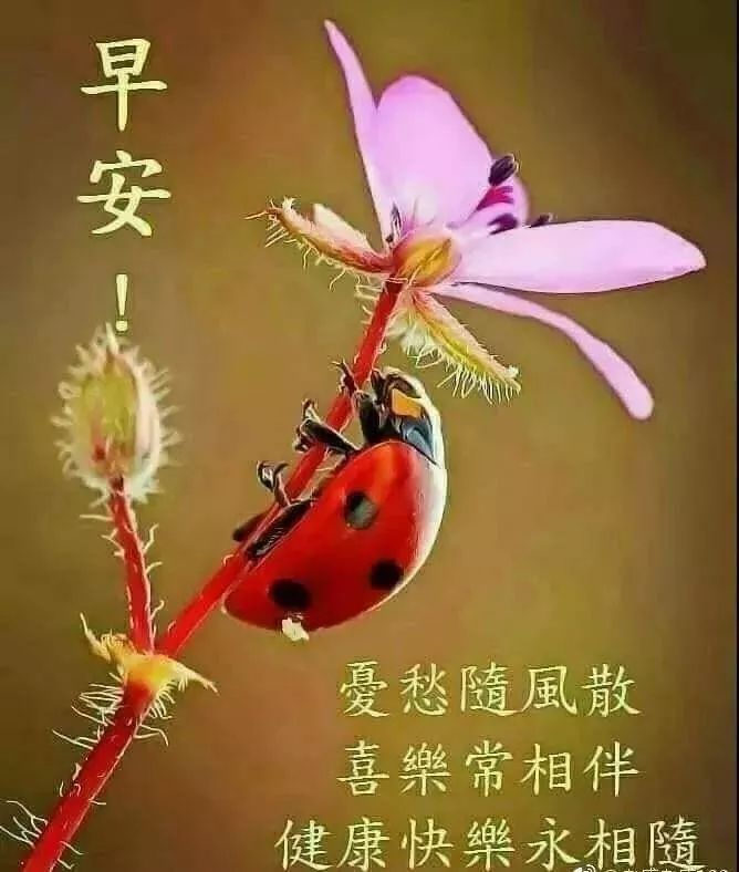My Image 5