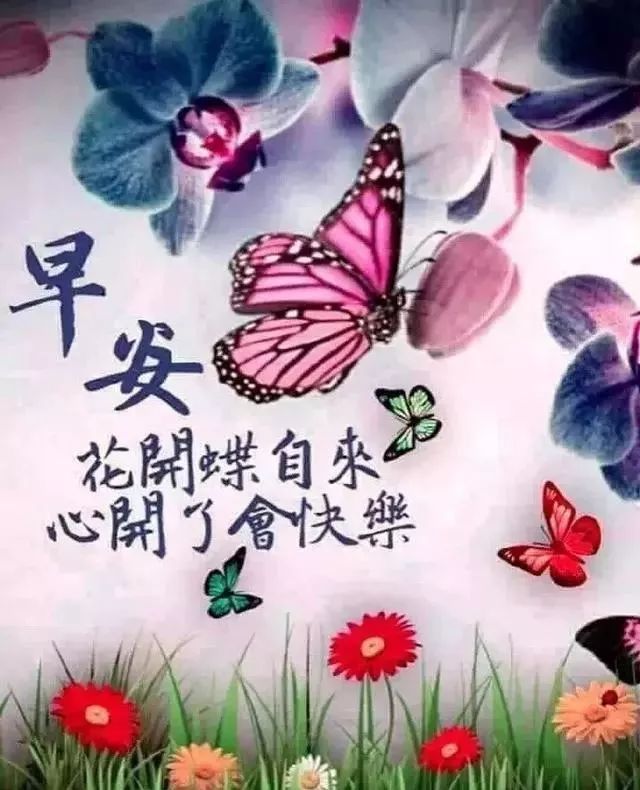 My Image 37