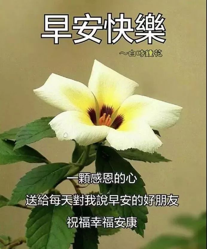 My Image 14
