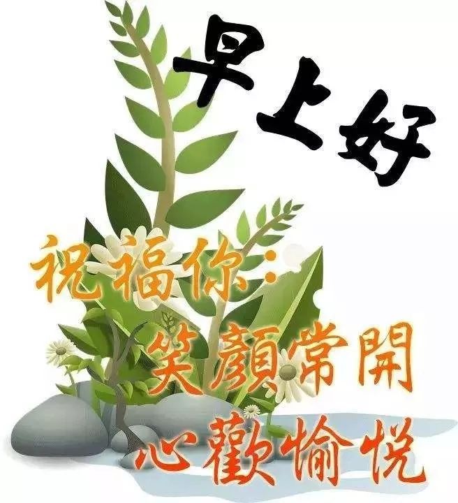 My Image 10