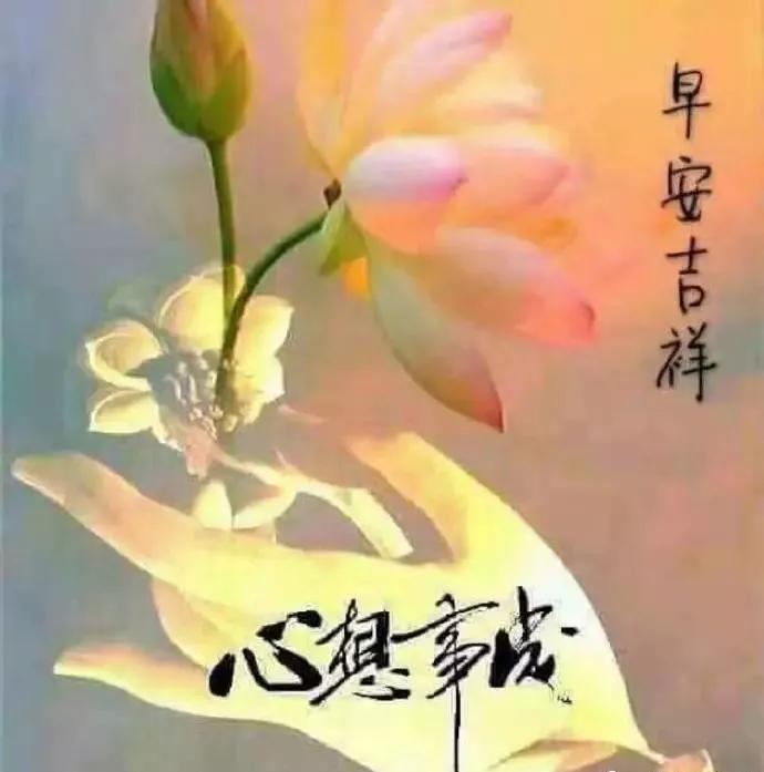My Image 38