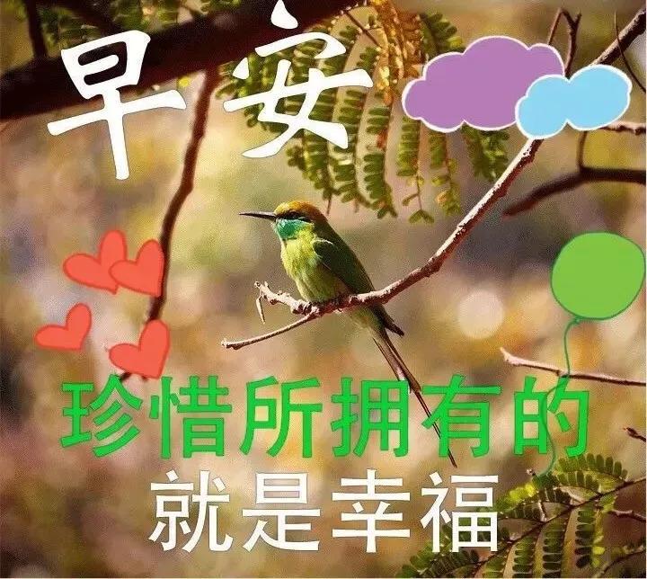 10月18日早上好问候语动态图片表情,阳光暖心的早安祝福语录
