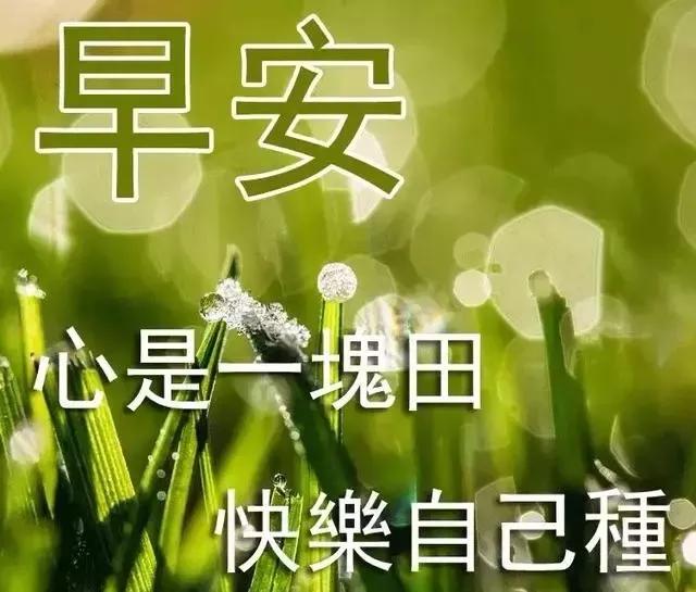 清晨暖心的早安问候祝福语动态图片,早上好唯美动画祝福图片