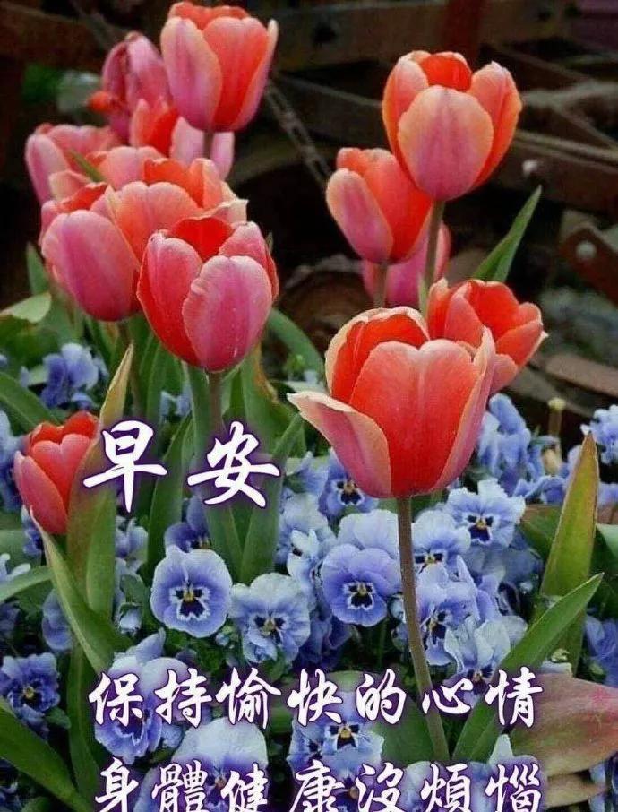 2019微信早安短信祝福语图片 经典早安问候语图片带字