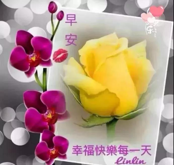 漂亮的早安图片问候祝福语短信,最棒早安问候祝福语动画表情动态