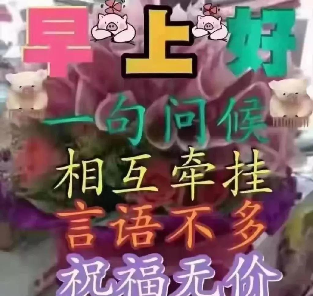 群发早上好问候漂亮图片表情带字,早安祝福语短信