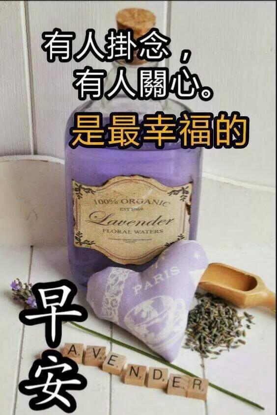 漂亮的早安问候祝福语图片带字温馨,早安漂亮问候图片