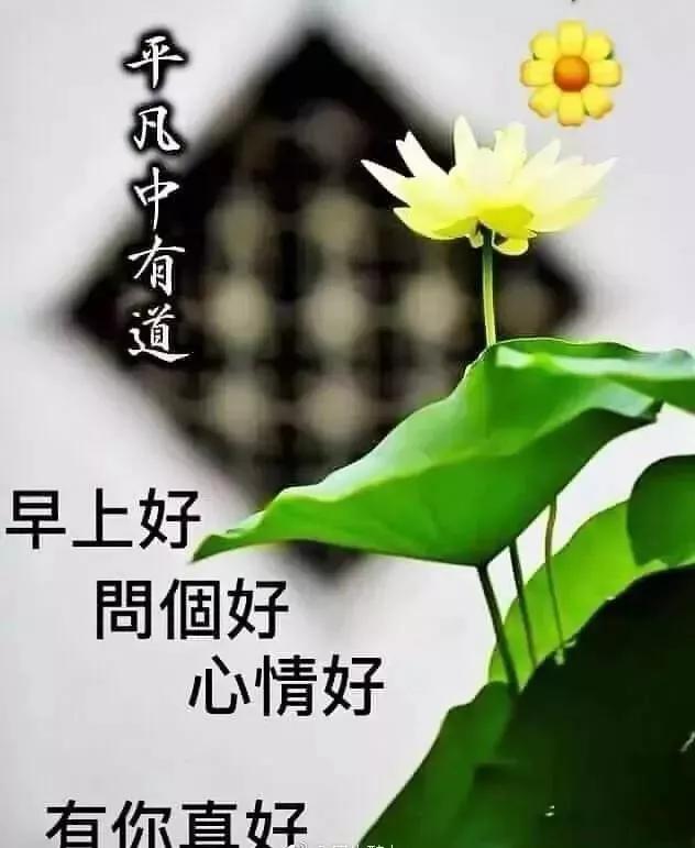最美早安问候祝福图片唯美温馨带字,清晨早安问候祝福