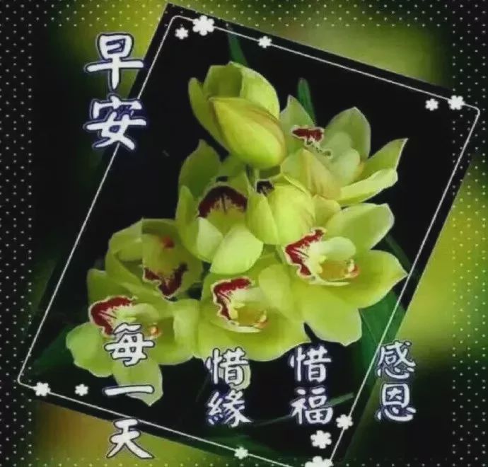 非常漂亮的早晨好问候祝福语短信,最美早上好祝福语动态表情图片