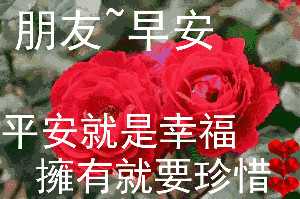 非常漂亮的早晨好问候祝福语短信,最美早上好祝福语动态表情图片