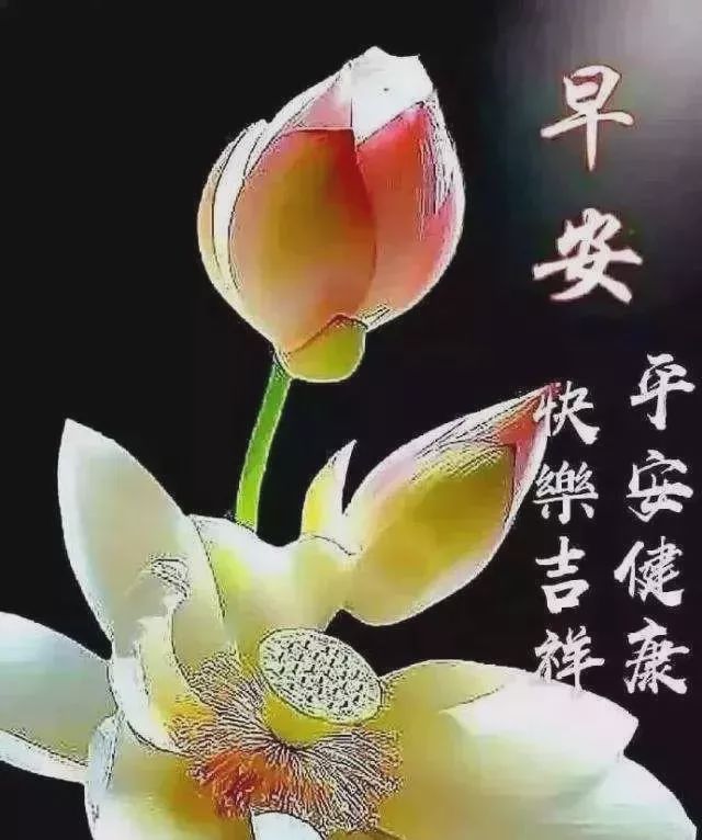 1126Ư簲ʺﶯ̬ͼƬ,Ϻʺ