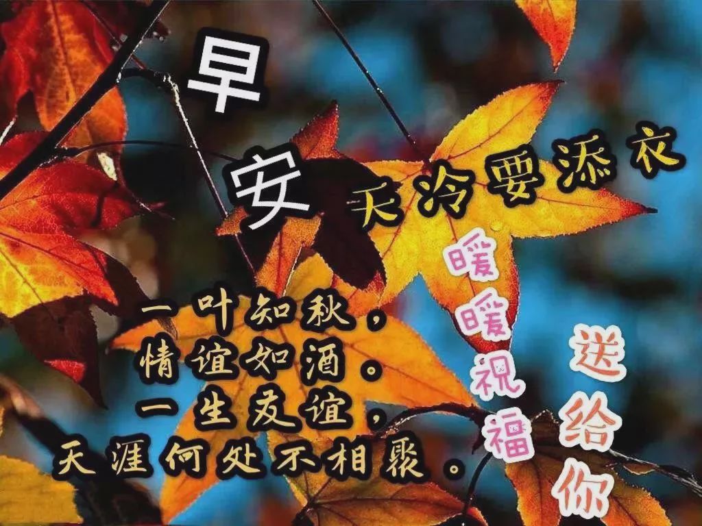 2019清晨最暖心的早安问候语,最美早安带字带祝福图片