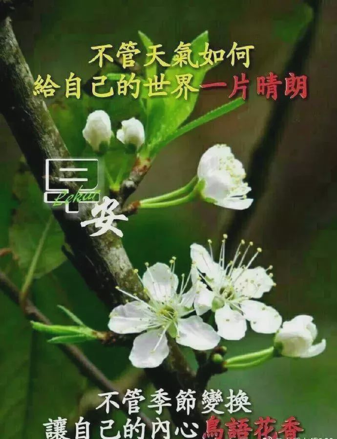 12月大家早上好图片,大家早上好的表情图片 12月6日非常温馨早安问候语动态图片表情,早上好祝福语问候短信