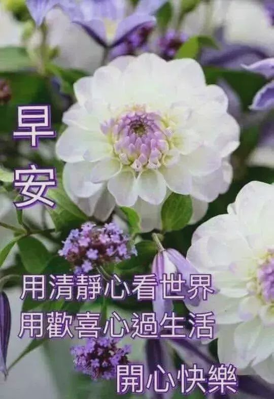 寒冷冬天早上好温馨问候祝福语句,最美的早安唯美祝福